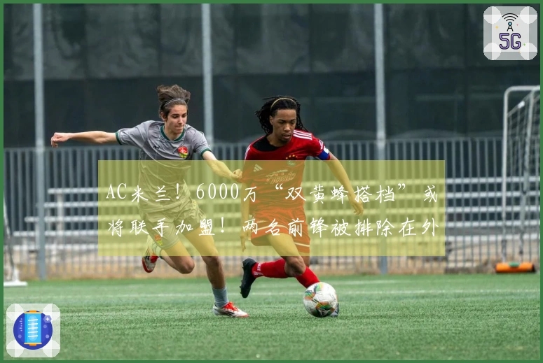 AC米兰！6000万“双黄蜂搭档”或将联手加盟！两名前锋被排除在外
