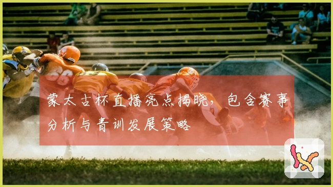 蒙太古杯直播亮点揭晓，包含赛事分析与青训发展策略